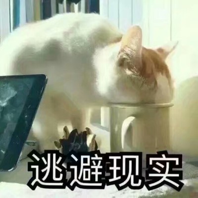 逃避现实的句子