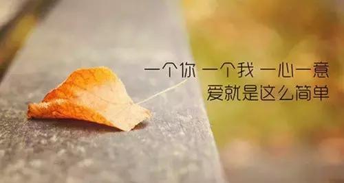 感受爱