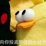 不美丽是我的优势