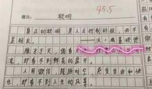 有趣的泡泡作文