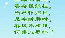 春的古诗