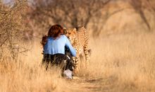 感动的友情话语