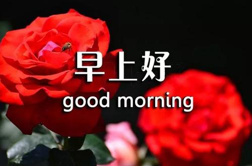 正能量短信