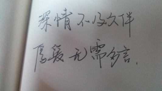 经典语录：无用是深情的，对最爱的人不屑一顾