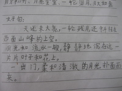 摘录400字
