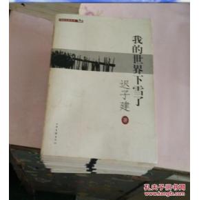 迟子建：我的世界正在下雪