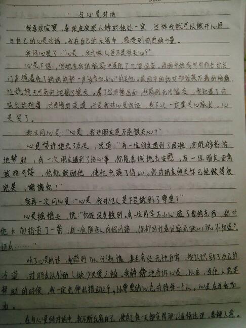 摘录600字