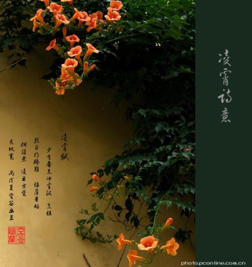奥兰诗