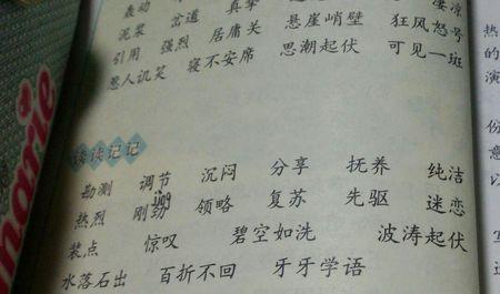 成语形容很多东西