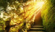 生命里总会有阳光