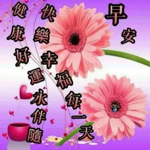 六月祝福讯息