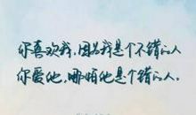 关于爱母亲的句子