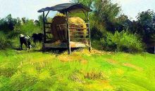 冬日田园杂兴的诗意