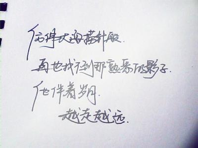 最合理的句子