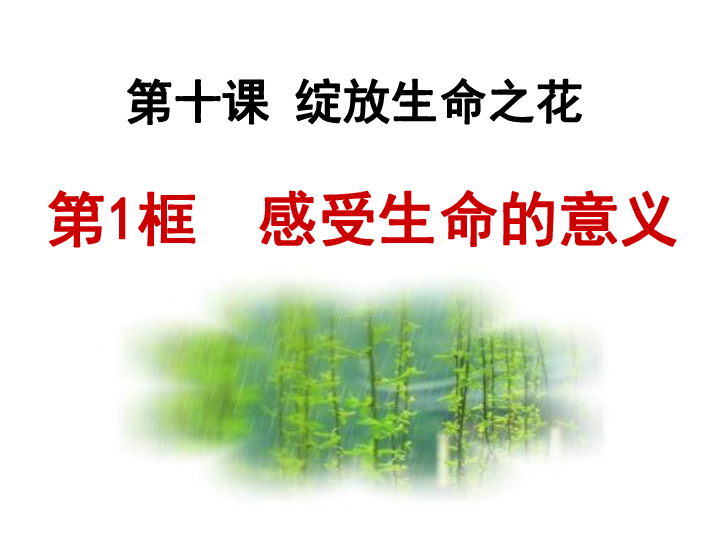 我发现了苍蝇的秘密成分