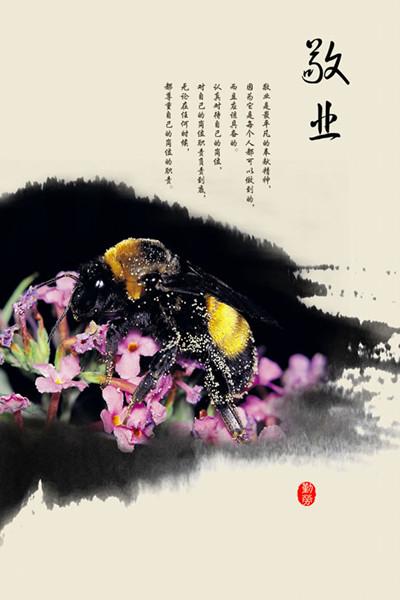 关于给予的话