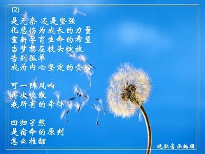 美丽的句子描述蒲公英