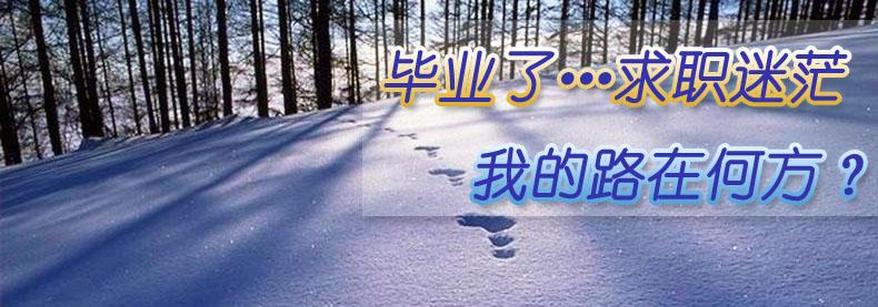 用完我的未来