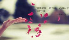 再卑微的梦想也会开花