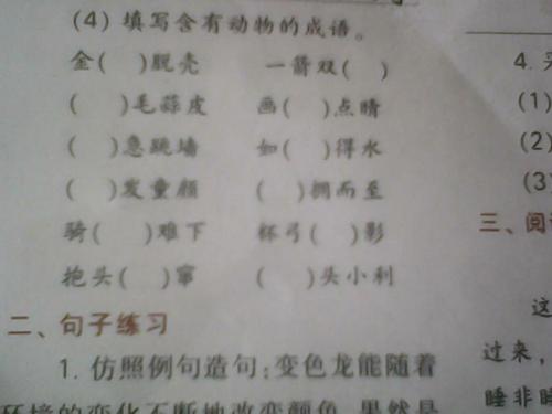 与动物有关的习语