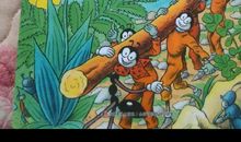 读《蚂蚁不投降》有感