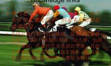 福尔摩斯英语读后感