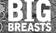 《丰乳肥臀》读后感:向母亲、历史和时代致敬