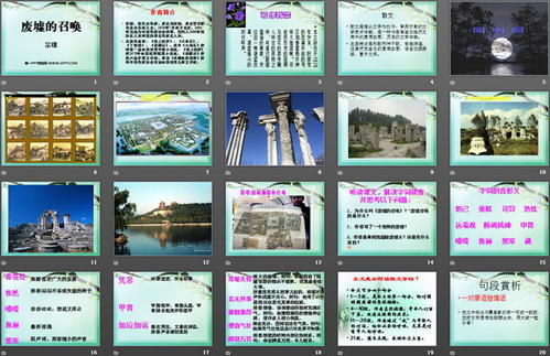 宗璞：鱼翅总动员