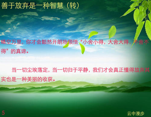 善于放弃是一种智慧