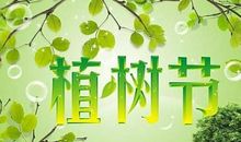 小学植树节活动方案