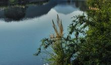 经典语录：之所以会念念不忘，是因为自知此生再也拥有不到了