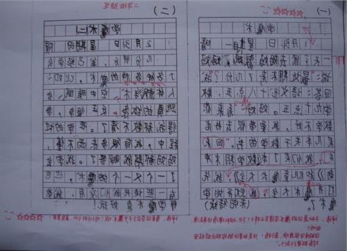 八年级学生的综合评论