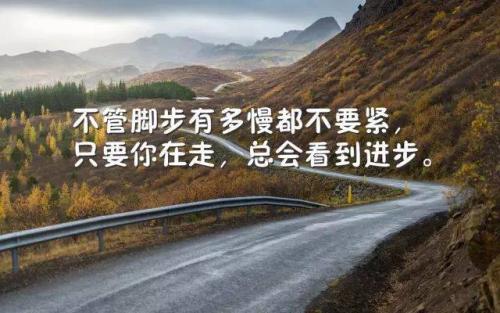 奋斗的句子