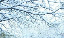 有关于描写雪景的优美句子