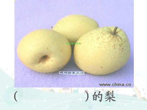 书写水果成分：梨