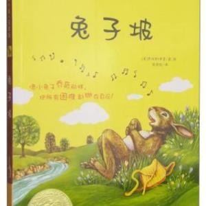 读《兔子作家》后的感想
