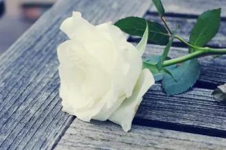 经典语录：有些人只是远距离观望，如果走得太近，他们会感到失望