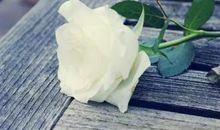 经典语录：有些人远远观望就好，走得太近会失望