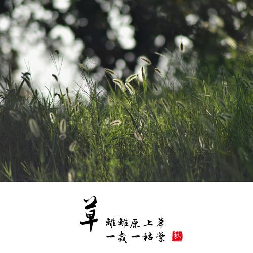 句子描述早春草