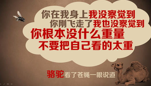 哲学故事：放弃也是一种快乐