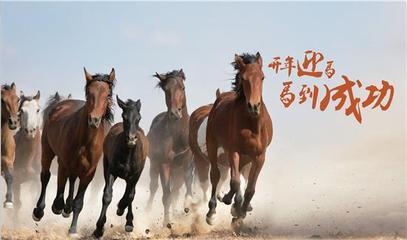 关于马有成语