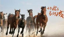 有关于马的成语