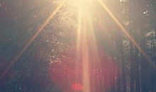 描写冬日阳光的优美句子