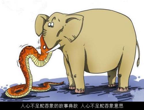 与蛇有关的成语