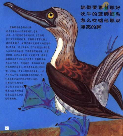 与鸟类有关的成语