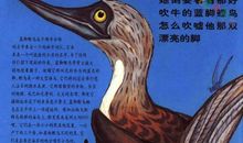 跟鸟有关的成语