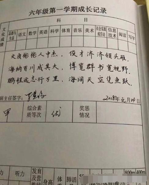 小学二年级第二本书进行评论