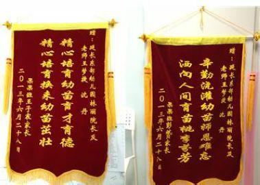 幼儿园锦旗词汇