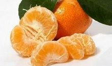 初中作文：砂糖桔