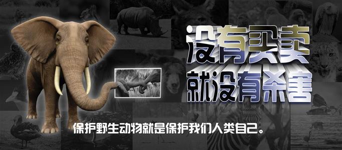 动物保护公共服务公告